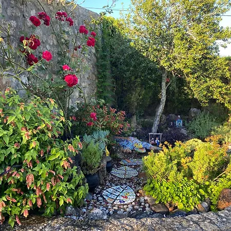 Casa Da Eira - De Campo Villa Ferreira do Zêzere